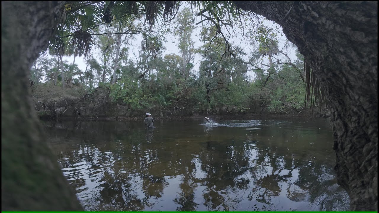 Fishing Florida with glidebaits for snook !!!!! (fishing vlog #3)