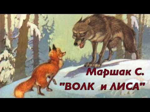 серый волк в глухом лесу встретил рыжую лису. серый волк встретил рыжую лису. волк и лис братья гримм. стих про лицо. стихи маршака.