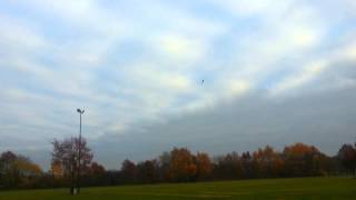 Die ersten Flips T-REX 550 E Kaki 14.11.12