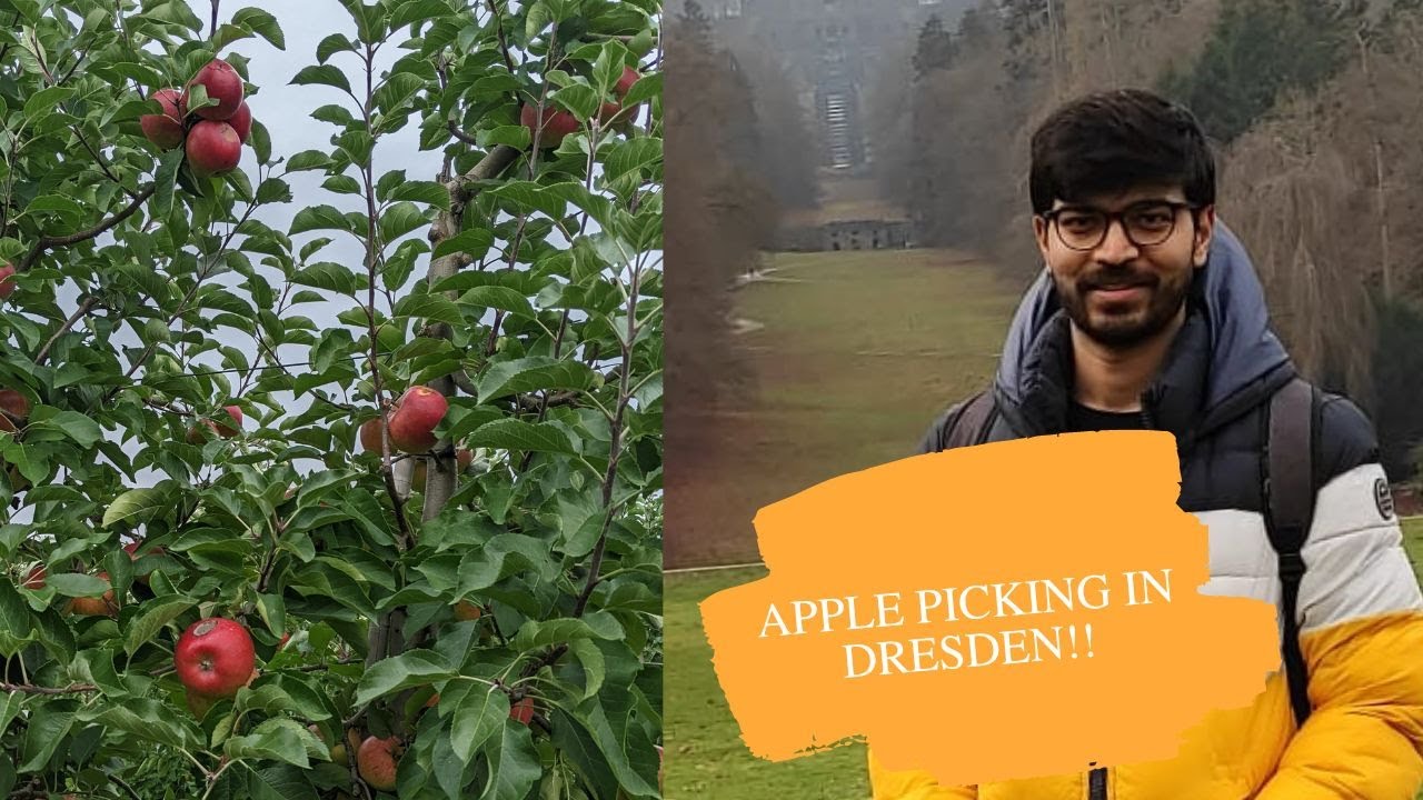 free me khaye apples | Apple picking in Germany | student life in Germany