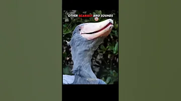 اصوات الطيور ضد اخر طير Skull Music Phonk Horror Speed اشتراك بالقناة السعوديه شلتنا 