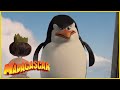 Dreamworks madagascar en espaol latino  los pinguinos de madagascar escenas graciosas