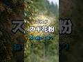 日本人の2人に1人が花粉症。でも世界は？