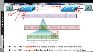 VLAN Trunks