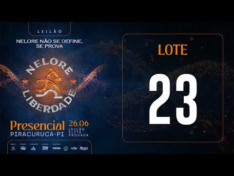 LOTE 23 LFFV 796