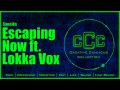 Beginning of video