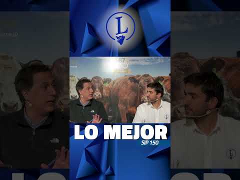 Estamos en un muy buen momento de precios de novillos