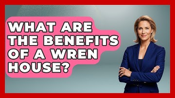 What Are The Benefits Of A Wren House? - Bird Watching Diaries