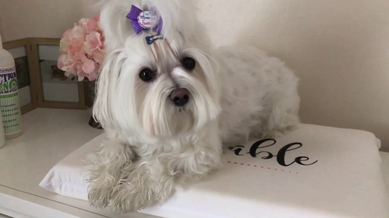 Just Checking in about Paris’ Tear Stains