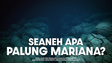 Bagaimana Palung Mariana Menyimpan Banyak Misteri? | #BelajarDuniaPurba