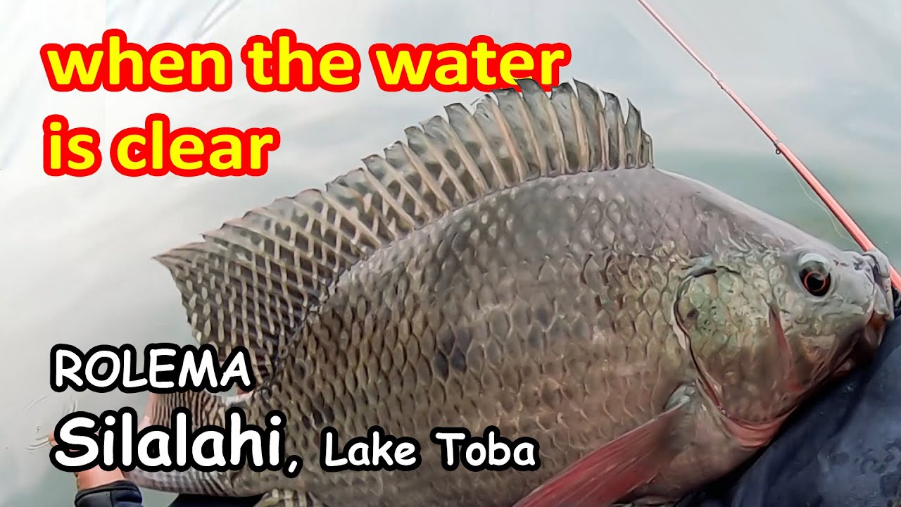 mancing ikan saat air jernih di Danau Toba