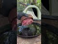 #cooking #watermelonpizza #fruitpizza #outdoorcooking #watermelon #watermelonrecipes #camping #surv