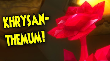 W101 Khrysanthemum Locations!