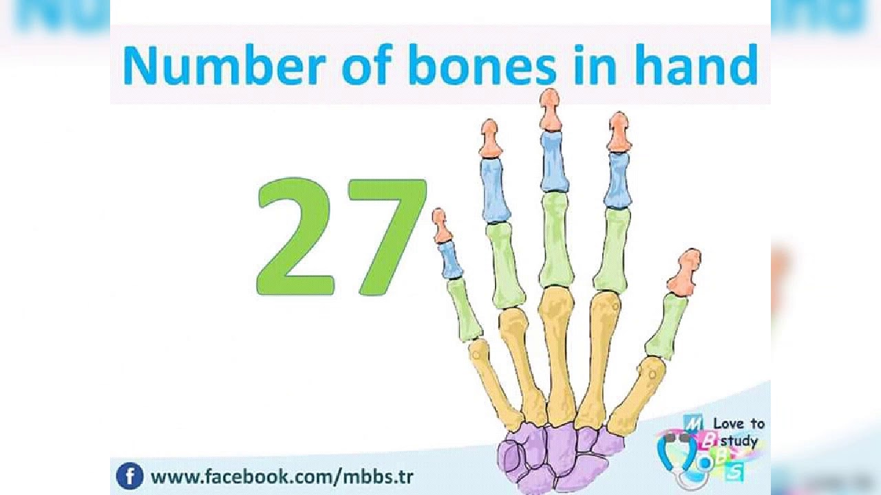 🌹Body part - YouTube