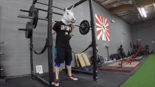 Apa 16 Cardio Circuits - First Workout At Revolution Training