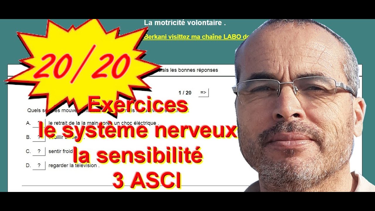 exercices le système nerveux et la sensibilité consciente