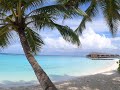 Maldives (4K UHD) | Veligandu Island Resort & Spa | August 2021