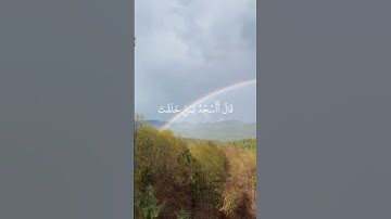 تلاوة تهز القلوب | آيات من القرآن الكريم بصوت خاشع #قرآن #قرآن_كريم