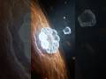 It Assembled Inside Your Skin While You Slept #microbiology #shorts