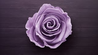 Welcome to Purple Peanuts Live - 20201203