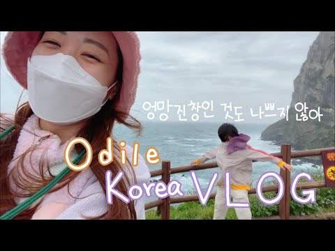 vlog 🍊비오는 <strong>제주</strong> 동쪽 (스누피가든. 다시 수학여행. 보리빵 사재기. 제주맛집 뿌셔. 갬성가득 독채 <strong>숙소</strong>🏡) 초등맘 | 오딜 odile