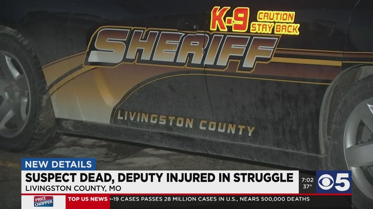 Suspect dead, Livingston Deputy injured in struggle