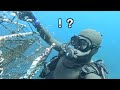 海のギャングが獲れた!?海中洞窟に罠を仕掛けて儲けた漁師。