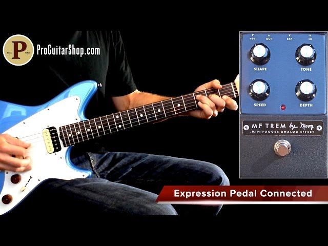 Moog Minifooger Tremolo - YouTube