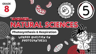 GR 8 PHOTOSYNTHESIS & RESPIRATION – Worked Question Photosynthesis #5