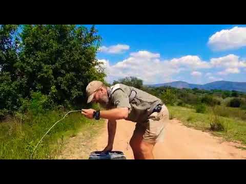 Python release