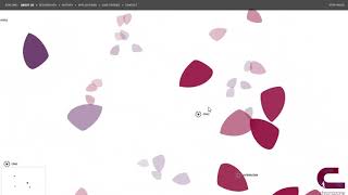 Chromazone flash website in 2006