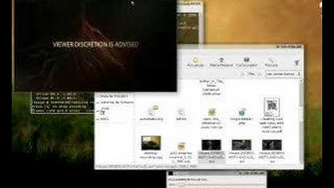 Ubuntu + XGL +Compiz