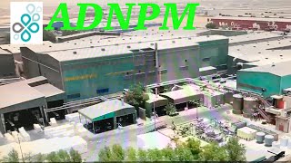 This is where I belong - Abu Dhabi National Paper Mill