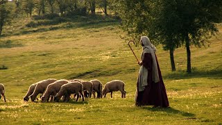 Decoding History - Dcpmedia Reel