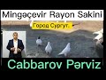 Azərbaycan Göyərçin Fedarasiyasına Dəstək Mesajı Город Сургут . Cabbarov Pərviz Mingeçevir R.Sakini