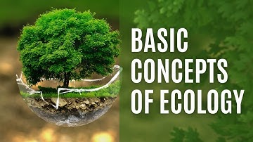 Basic Concepts of Ecology Part 4 | Dr. Sourav Singh Deo