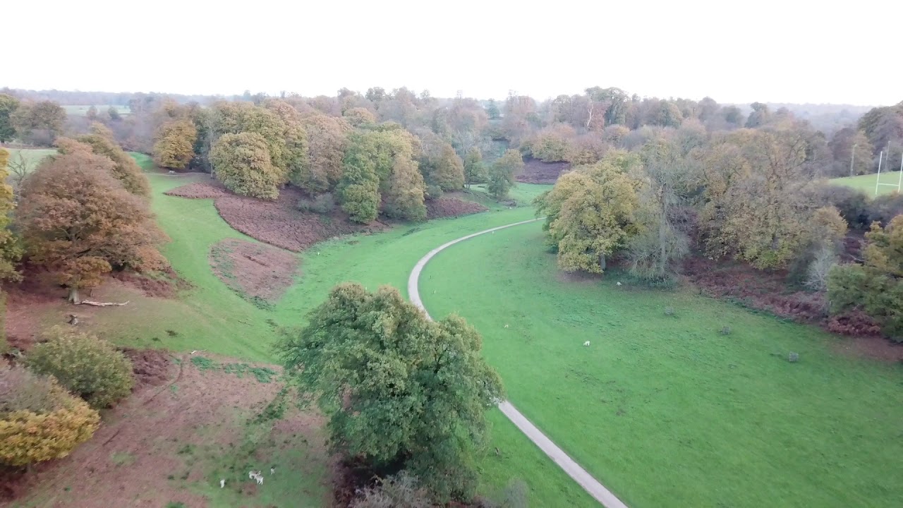 Knole park, Sevenoaks, Kent