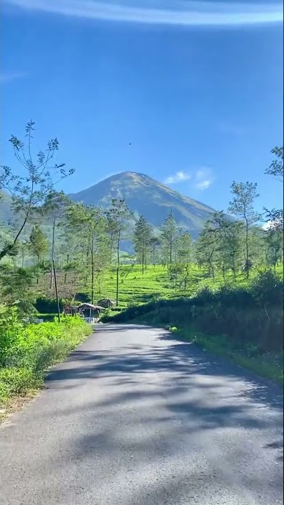 NAIK MOTOR SAMBIL LIHAT PEMANDANGAN | HALU STORY #shorts  #storyhalu #storyig #storywa