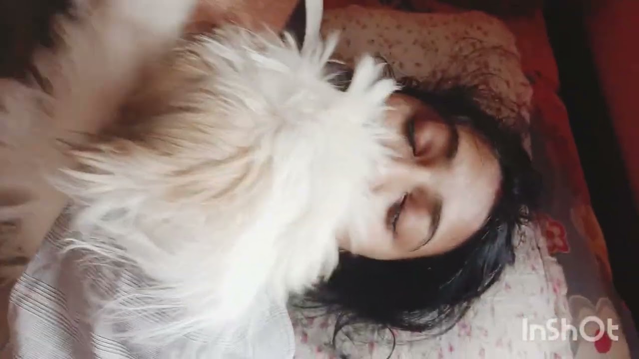 দিন দিন শ্রী এর দুষ্টুমি বেড়ে চলছে।#situpheadshots#dailyvlog#petlover#everyone#subscribemychannel