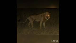 Amazing Facts To Enlight Your Day And Which Makes Your Mind Think Out Of The Box