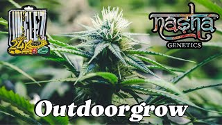 We're back outside with our plants, checking on their latest progress...