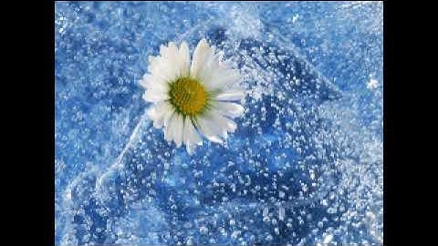 Translation of Surah Al-Mumtahanah into English - ترجمة سورة الممتحنة الى اللغة الانجليزية