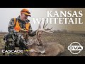 KANSAS WHITETAIL BUCK | Cascade LRH (Long Range Hunter)