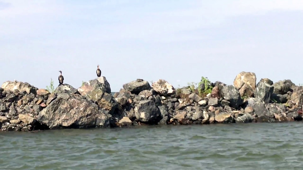 Sulina, Delta Dunării