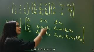 Imp.Q. chapter -3 |Simultaneous Linear Algebraic Equations | BA/BSc/Honours Maths NEP | New Era Math