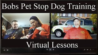 Bobs Pet Stop Virtual Dog Training Lessons