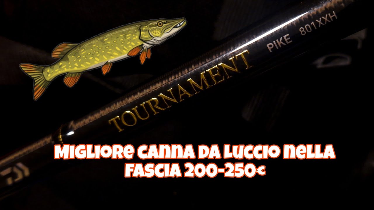 NUOVE DAIWA TOURNAMENT PIKE - Recensione completa 