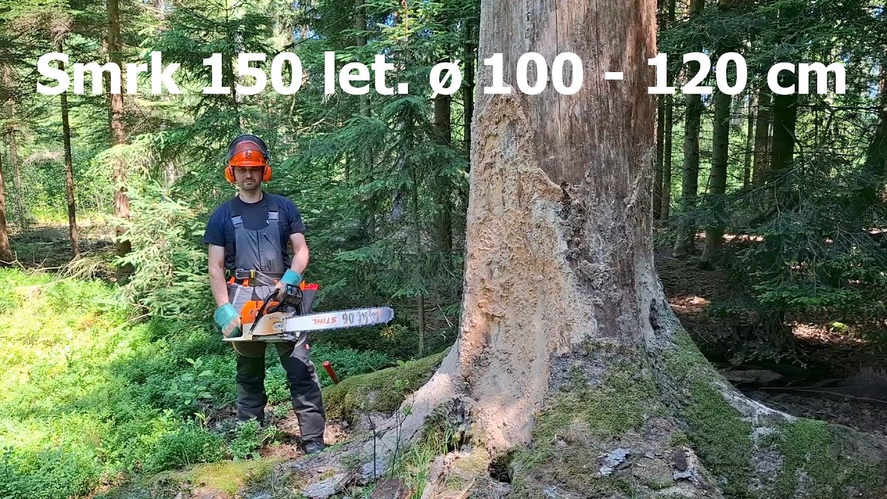 Smrk 150 let. ø 100 - 120 cm - Zetor 6911 + Krpan  5Si - STIHL MS 660