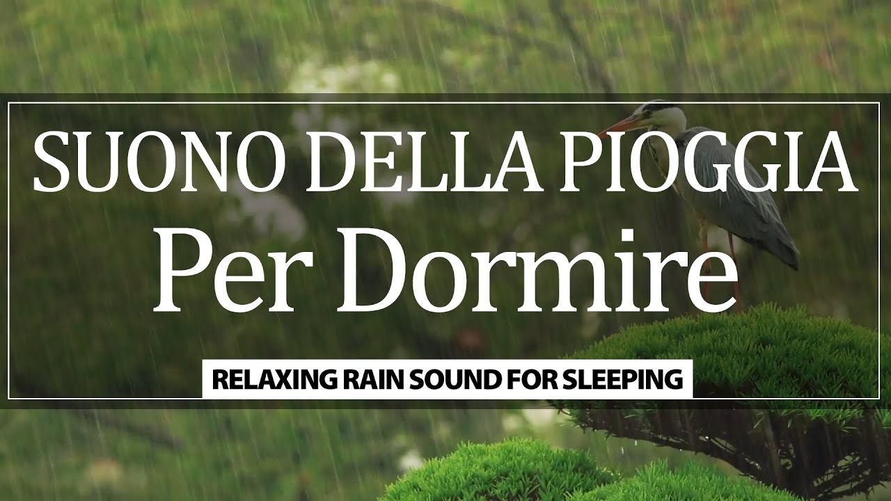 Suono della Pioggia per Dormire e Rilassarsi con Tuoni e Immagini Anti ...
