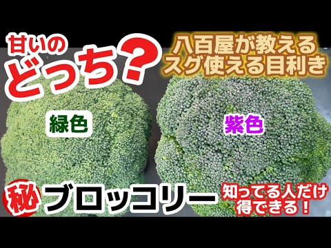 The unconventional knowledge only greengrocers know [Broccoli